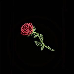 Meet your Posher, Ariel